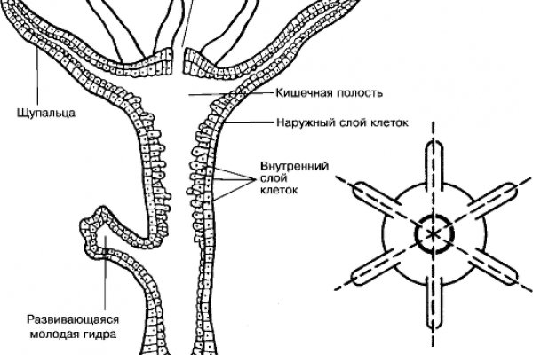 Кракен магазин kraken4am com