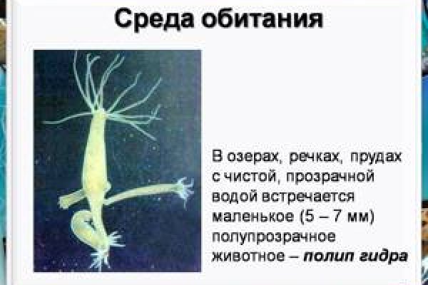 Кракен даркнет купить